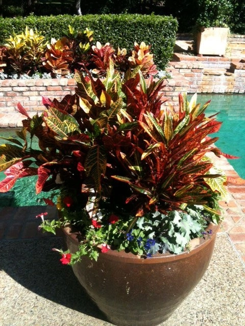 Landscape Design by Brumley Gardens - Photo 17