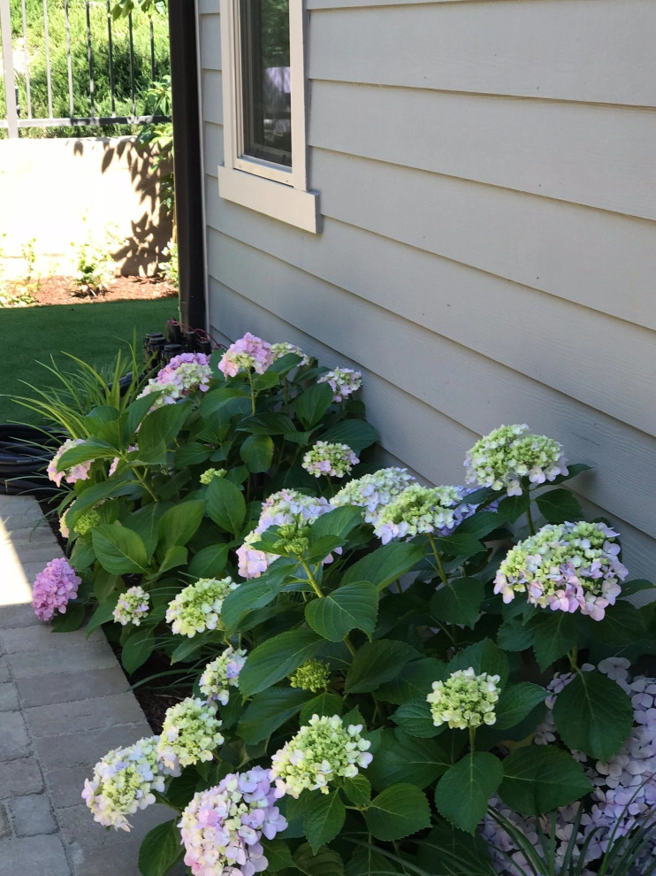 Over 55 by Alford's English Gardens Inc - Photo 5