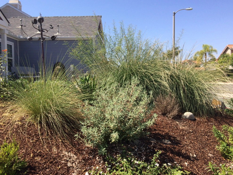 Low maintenance California friendly garden by Alford's English Gardens Inc - Photo 3