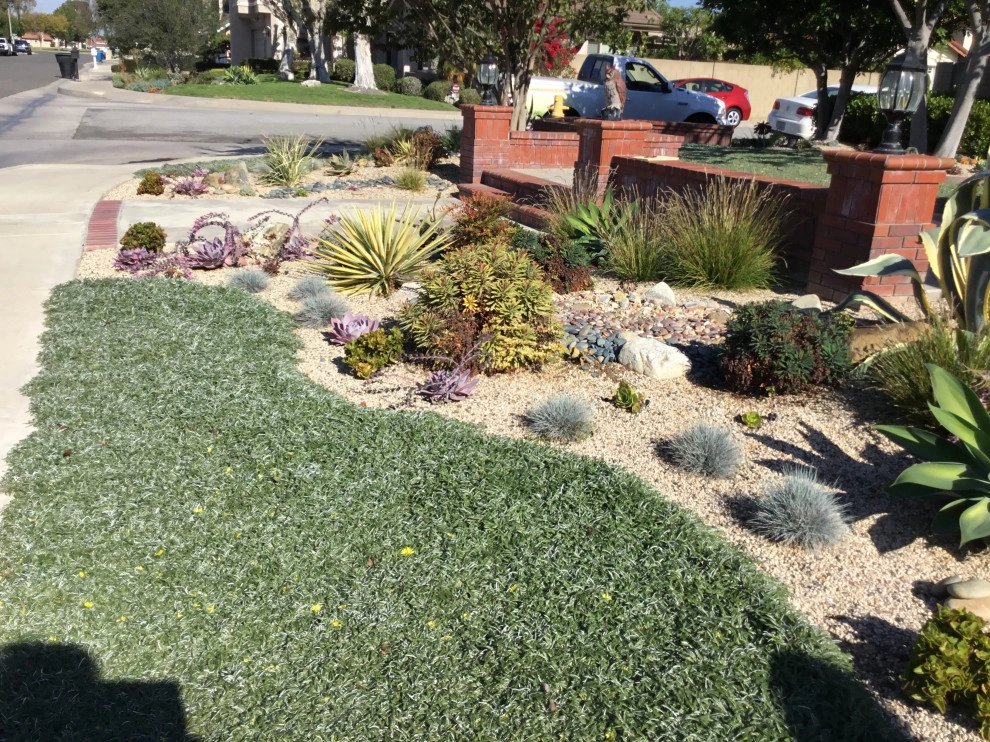 Low water garden by Alford's English Gardens Inc - Photo 3