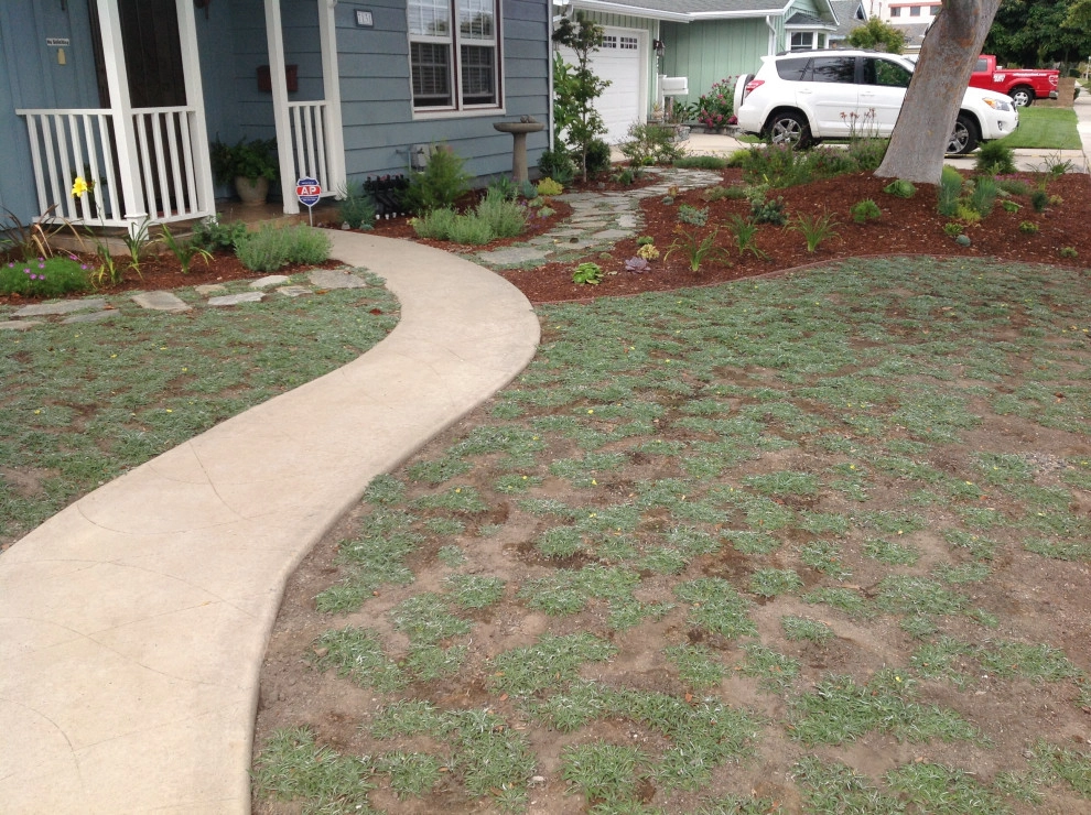 Alford's English Gardens Inc - Photo 12