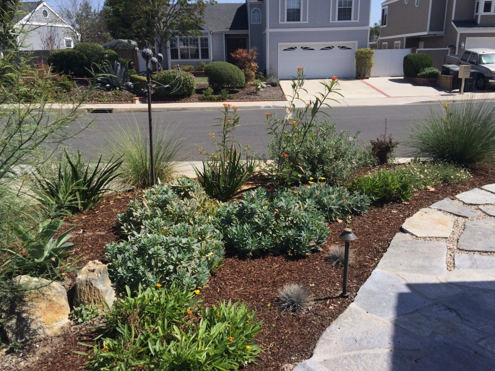 Low maintenance California friendly garden by Alford's English Gardens Inc - Photo 7