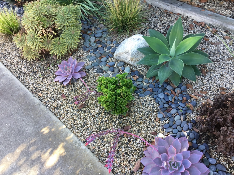 Low water garden by Alford's English Gardens Inc - Photo 2