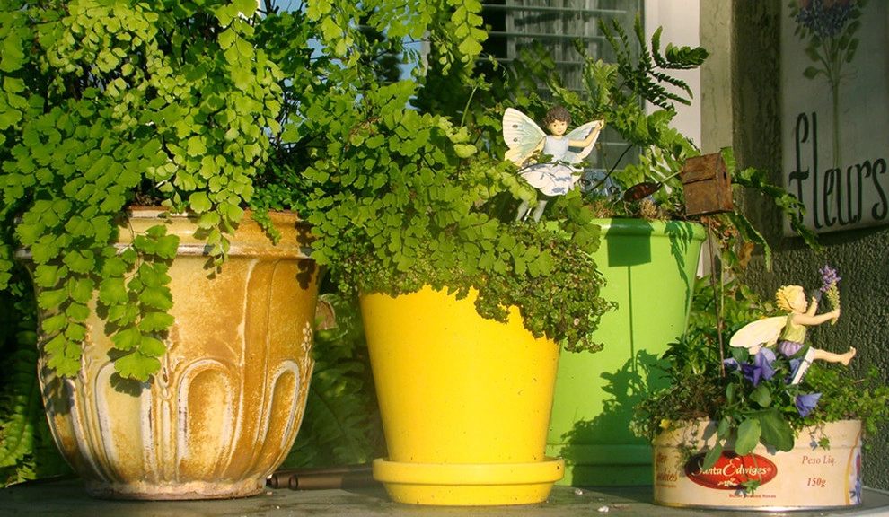 Container Gardens Galore by Alford's English Gardens Inc - Photo 7