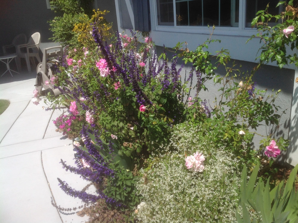 Big Country Cottage by Alford's English Gardens Inc - Photo 5