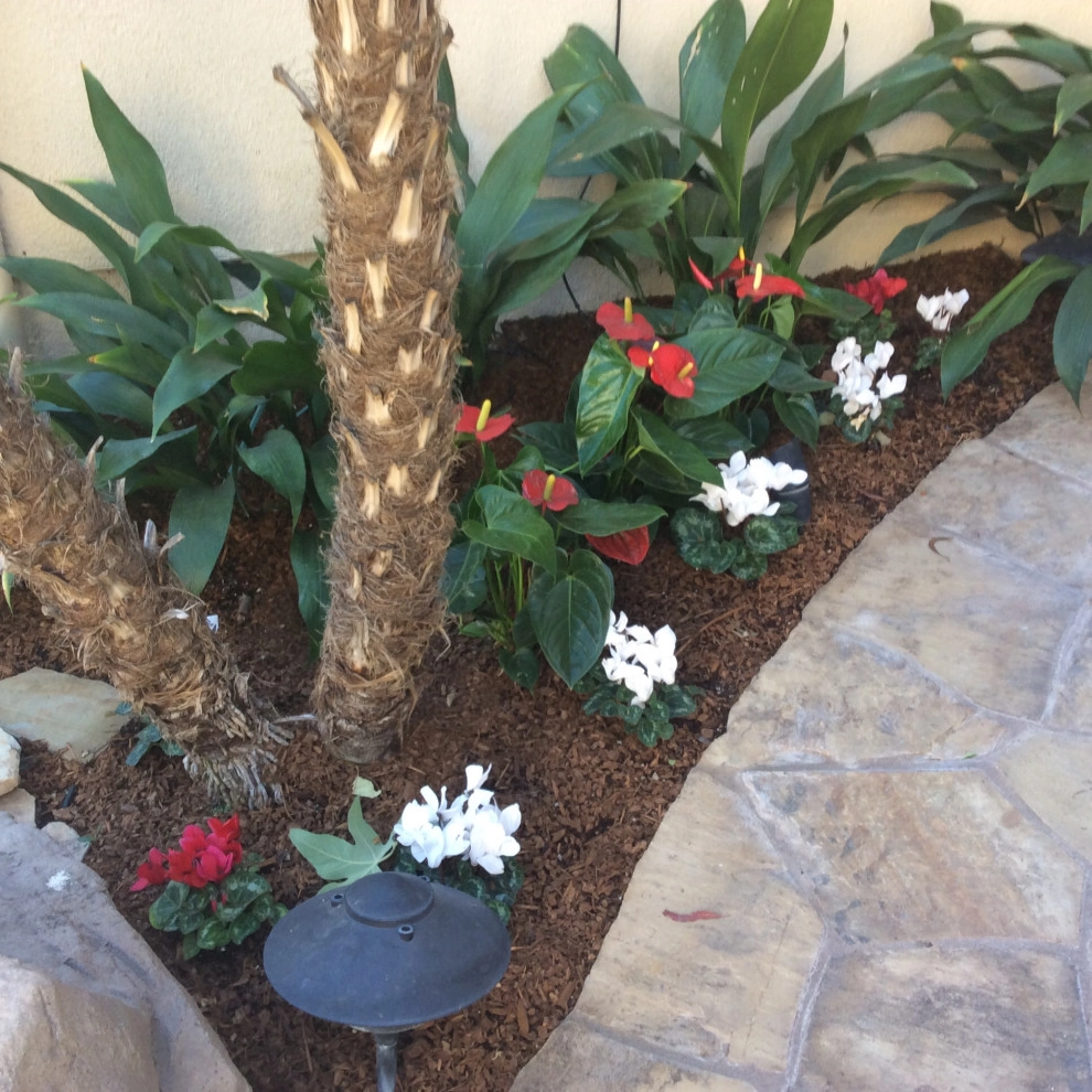 Poolside garden by Alford's English Gardens Inc - Photo 4