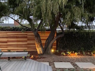 Modern Low Water Garden by Alford's English Gardens Inc - Photo 4