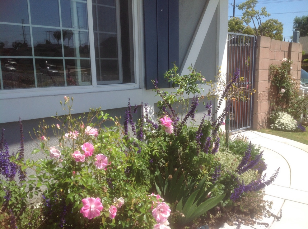 Big Country Cottage by Alford's English Gardens Inc - Photo 6