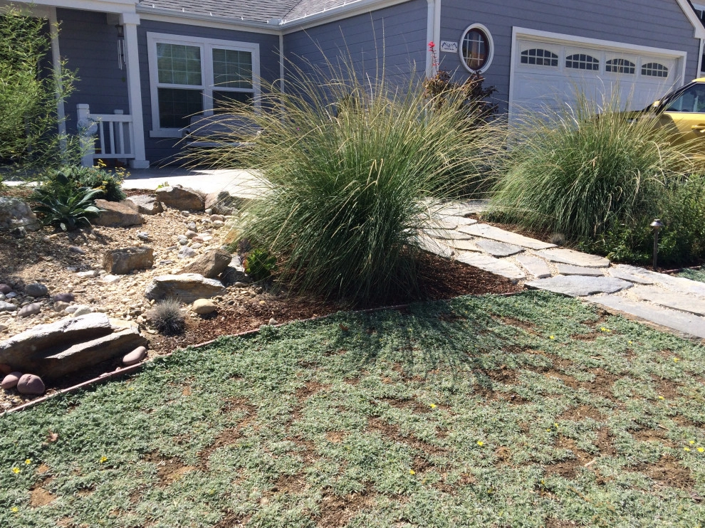 Low maintenance California friendly garden by Alford's English Gardens Inc - Photo 4