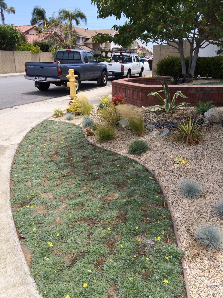 Low water garden by Alford's English Gardens Inc - Photo 5