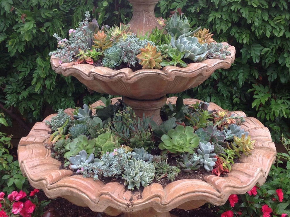 Mediterranean Succulent Garden with Repurposed Fountain by Alford's English Gardens Inc - Photo 2