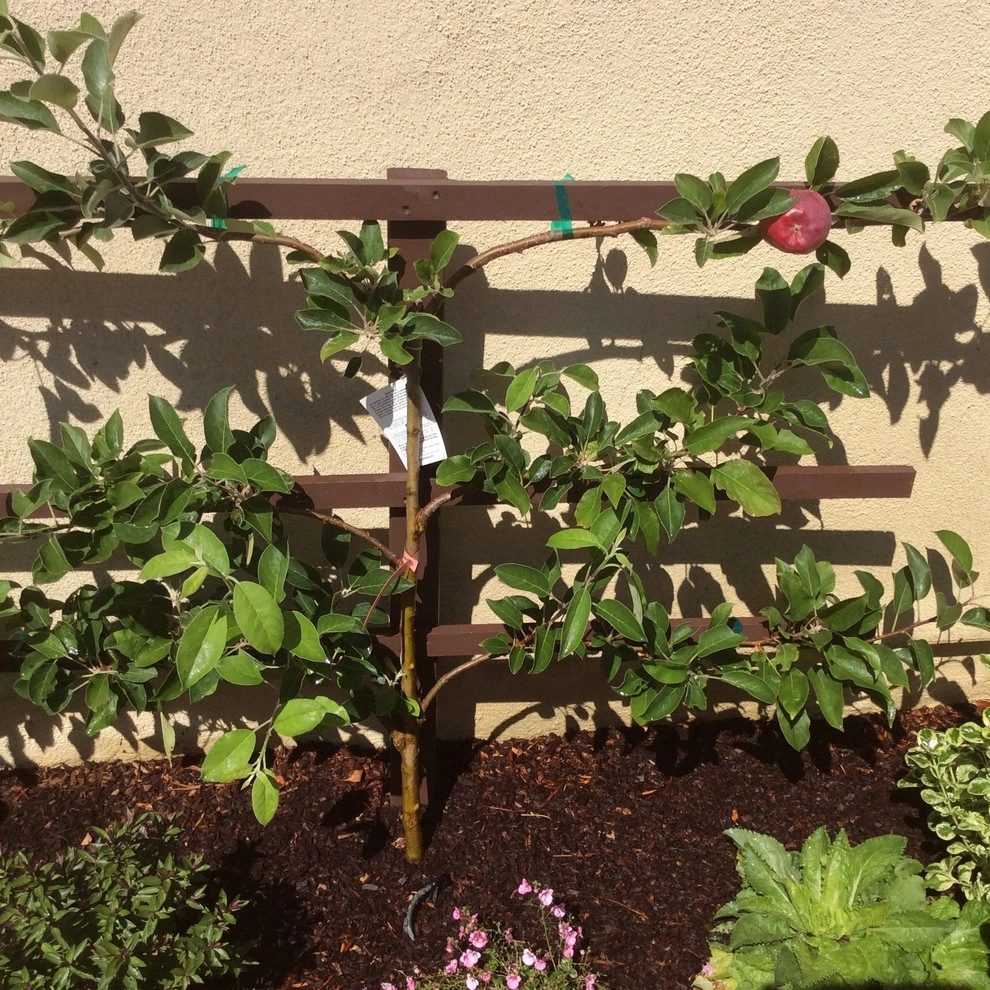 Alford's English Gardens Inc - Photo 5