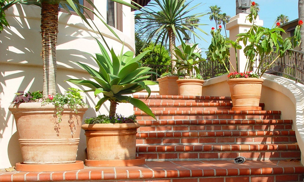 Container Gardens Galore by Alford's English Gardens Inc - Photo 4