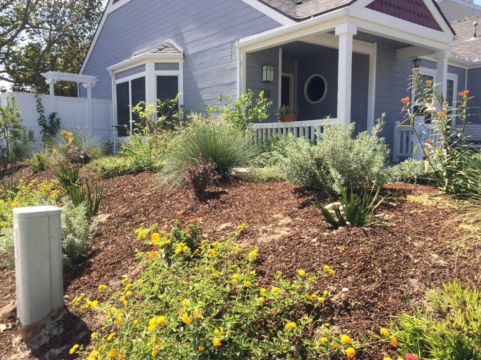 Low maintenance California friendly garden by Alford's English Gardens Inc - Photo 6