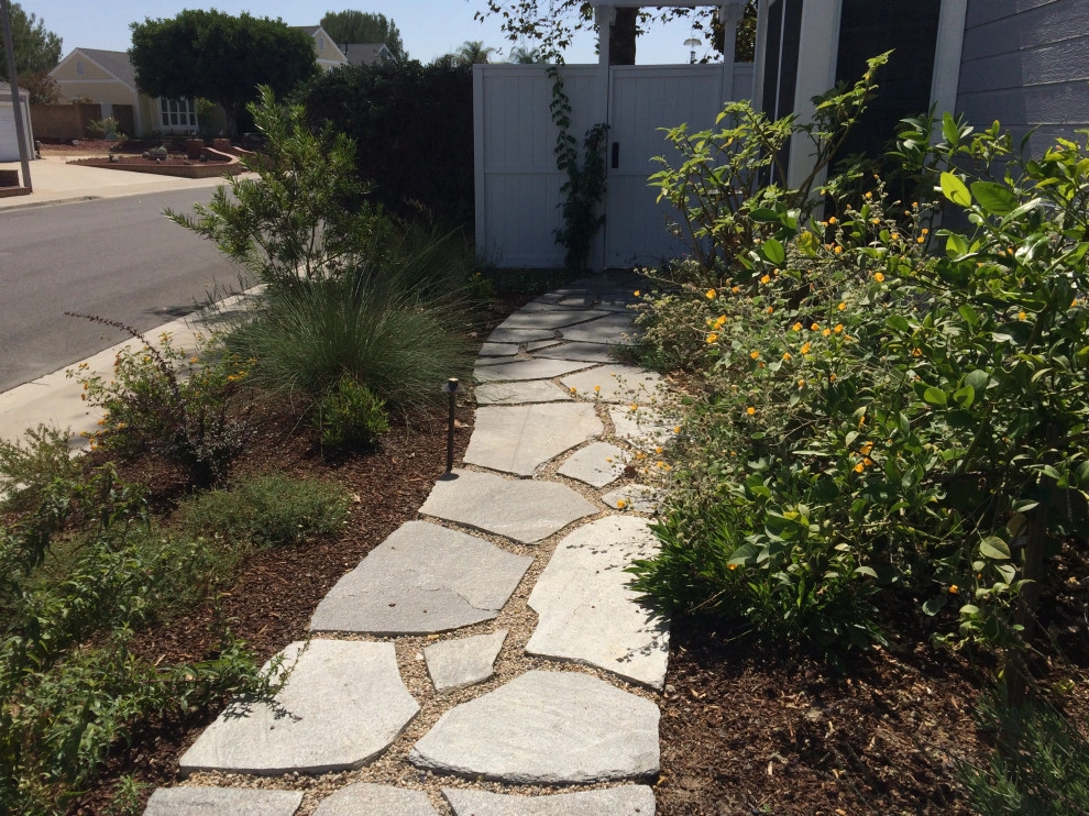 Low maintenance California friendly garden by Alford's English Gardens Inc - Photo 5
