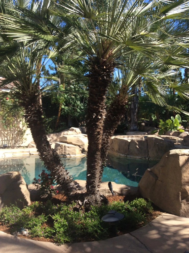 Poolside garden by Alford's English Gardens Inc - Photo 7