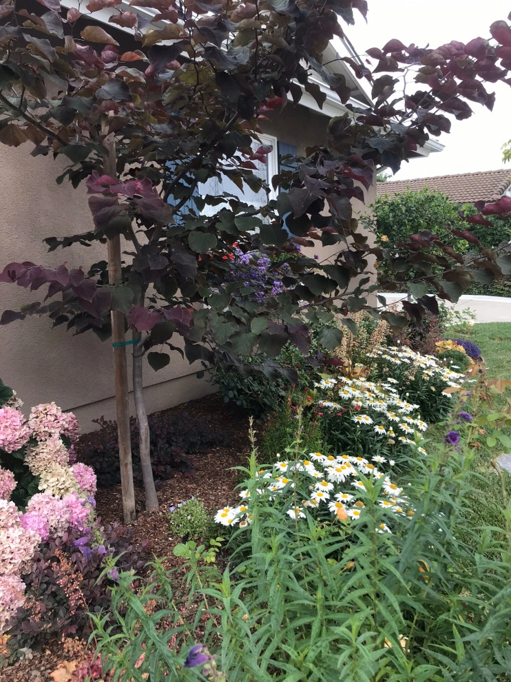 Cottage garden by Alford's English Gardens Inc - Photo 6