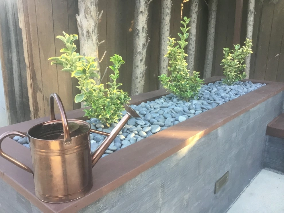 Modern Garden by Alford's English Gardens Inc - Photo 7