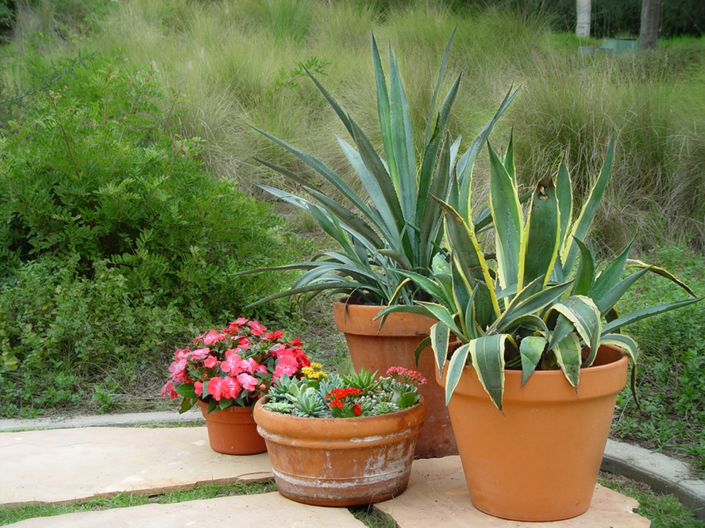 Container Gardens Galore by Alford's English Gardens Inc - Photo 5