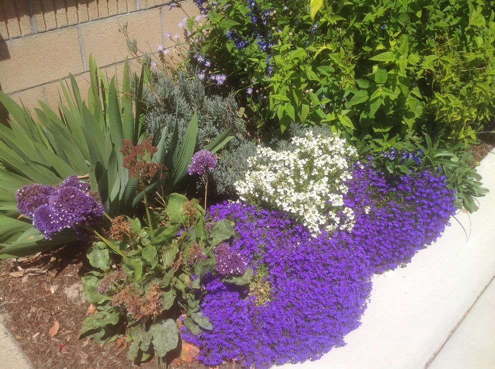Big Country Cottage by Alford's English Gardens Inc - Photo 4