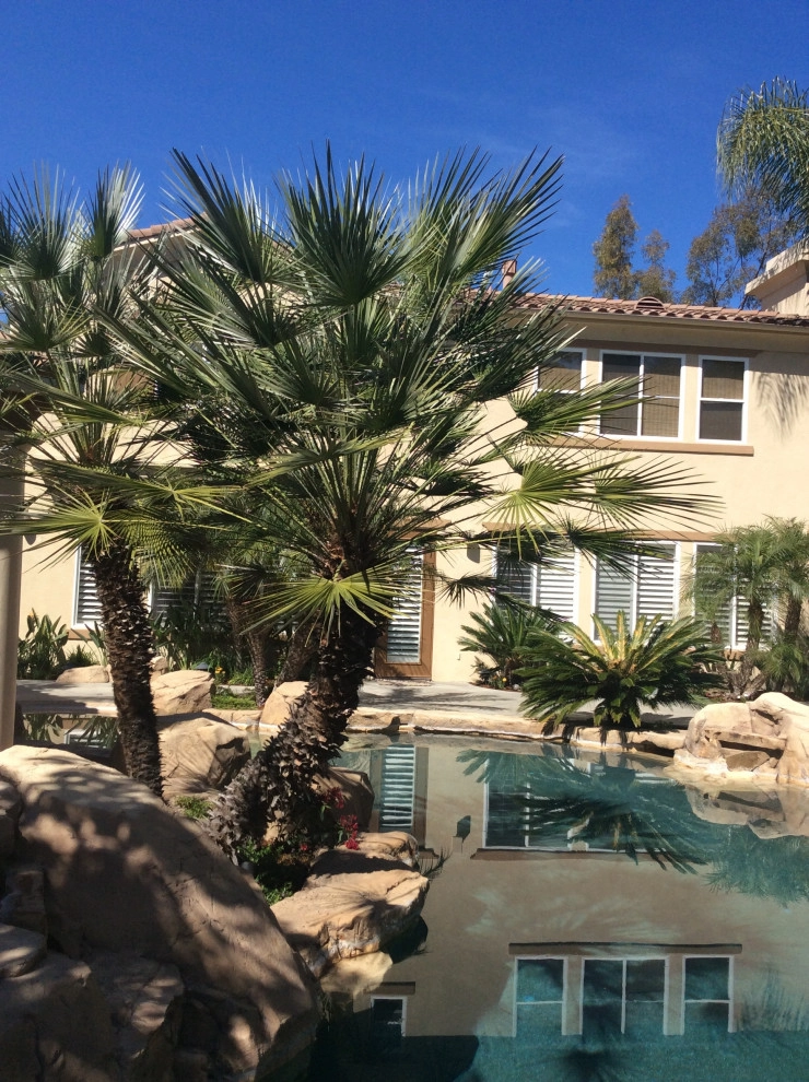 Poolside garden by Alford's English Gardens Inc - Photo 3