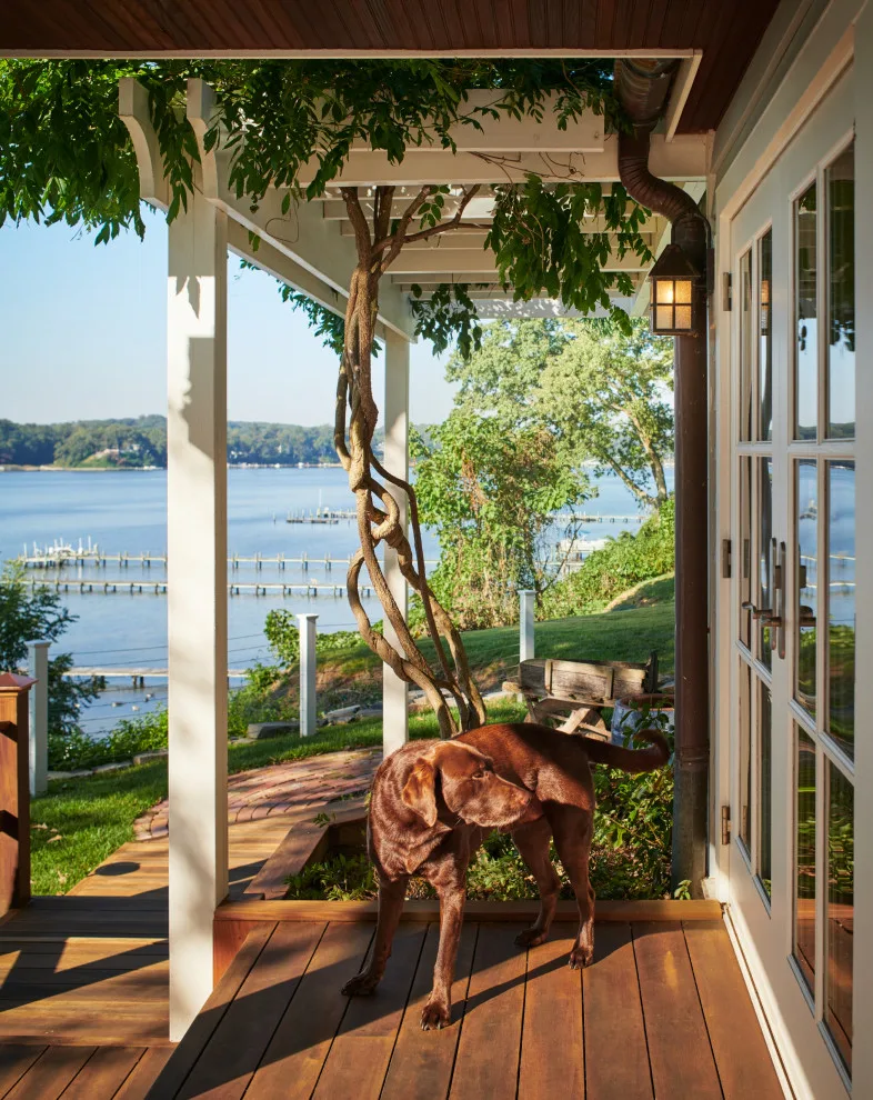 Severn River Residence by Mueller Homes Inc - Photo 9