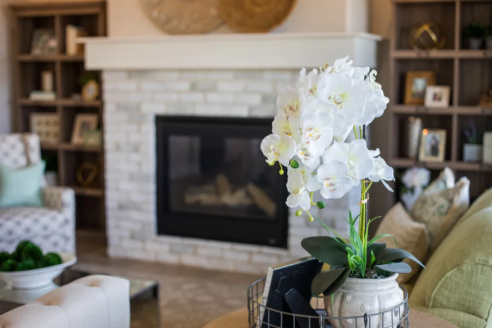 Isabel by Paul Gray Homes - Photo 9