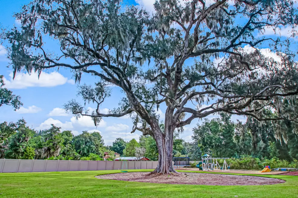 Jacksonville, Florida by Glenn Layton Homes - Photo 30