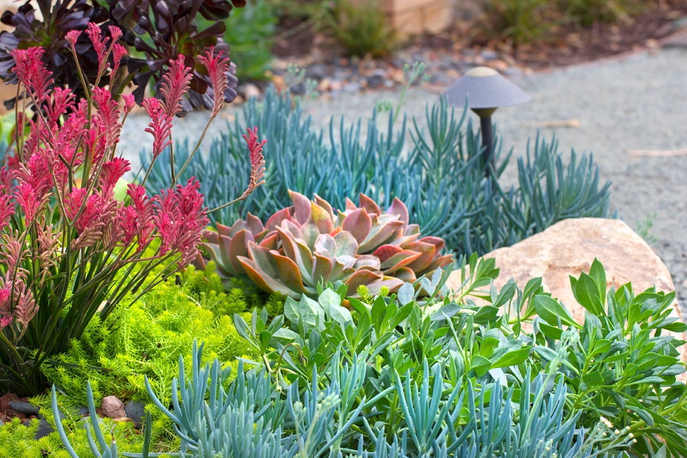 Wilkes Residence by All Seasons Gardening And Landscaping - Photo 36