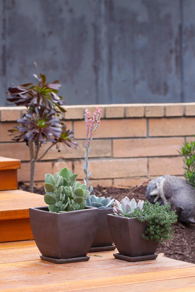 Wilkes Residence by All Seasons Gardening And Landscaping - Photo 8