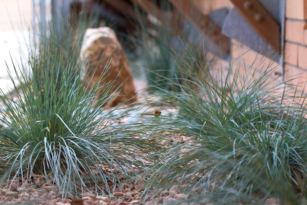 Wilkes Residence by All Seasons Gardening And Landscaping - Photo 40