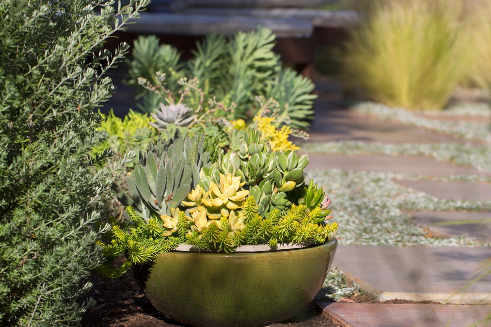 Horton Residence by All Seasons Gardening And Landscaping - Photo 15