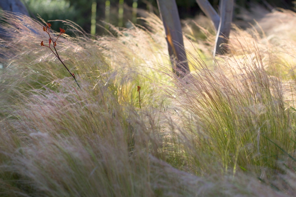 Horton Residence by All Seasons Gardening And Landscaping - Photo 33