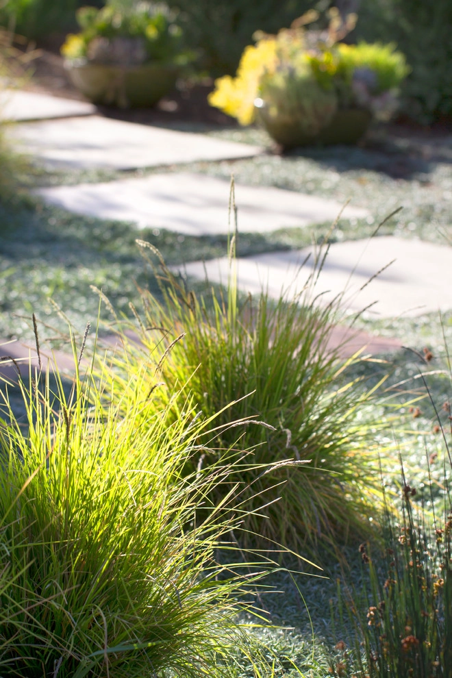 All Seasons Gardening And Landscaping - Photo 12