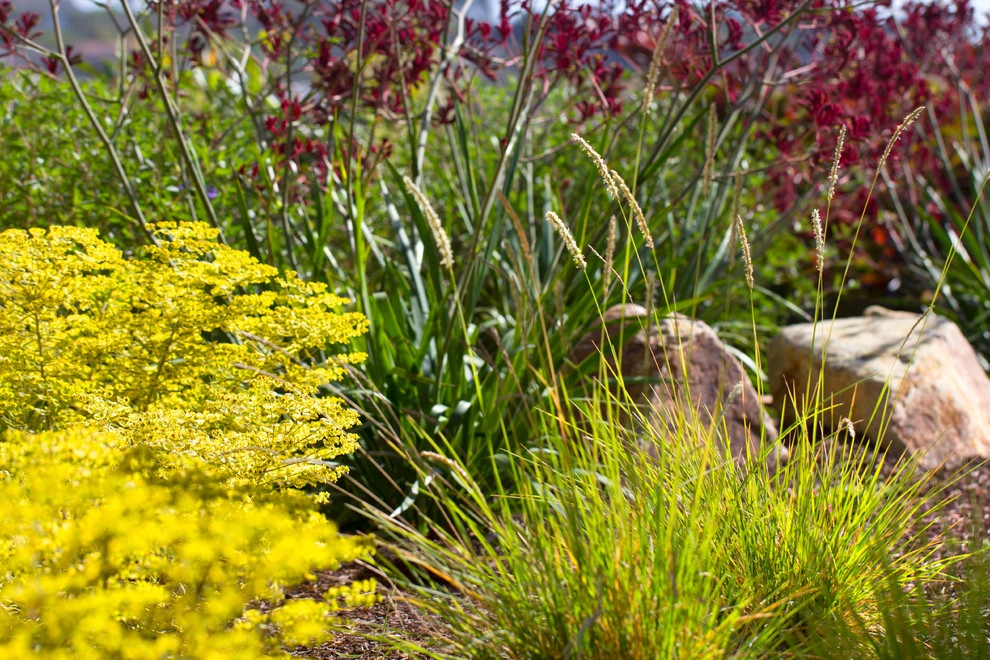 Decker Residence by All Seasons Gardening And Landscaping - Photo 24