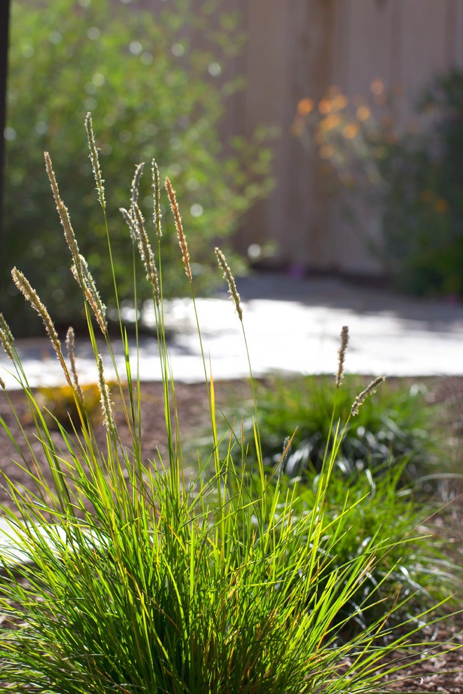 Decker Residence by All Seasons Gardening And Landscaping - Photo 41