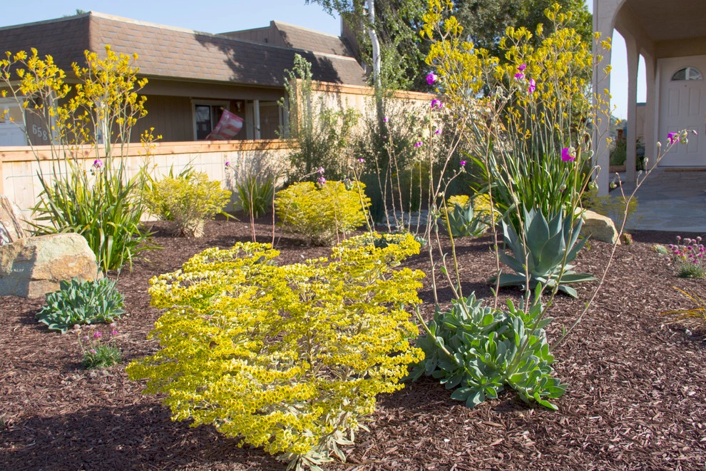 Decker Residence by All Seasons Gardening And Landscaping - Photo 36