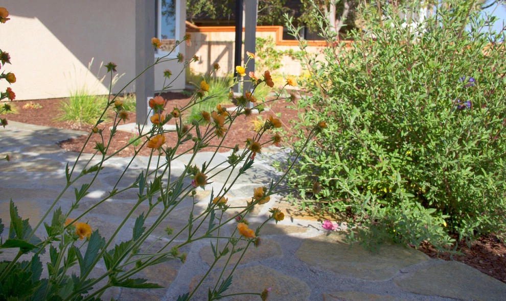 Decker Residence by All Seasons Gardening And Landscaping - Photo 27