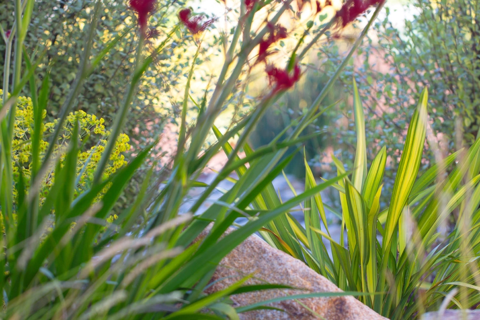 Decker Residence by All Seasons Gardening And Landscaping - Photo 17