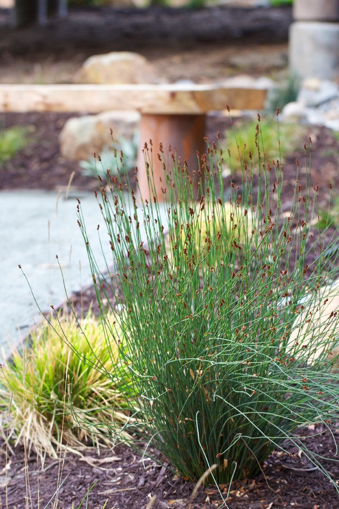 Wilkes Residence by All Seasons Gardening And Landscaping - Photo 16