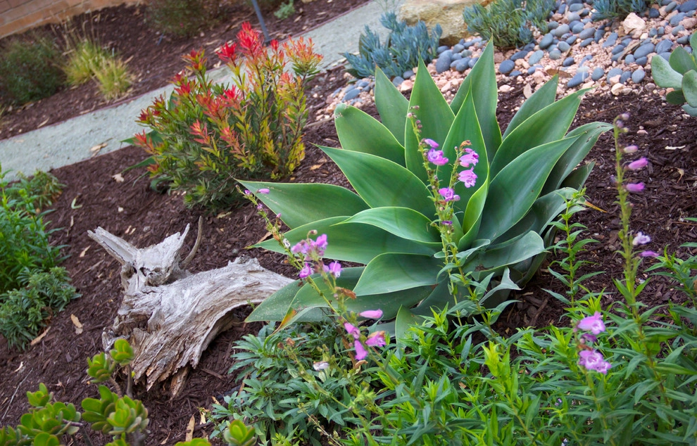 Wilkes Residence by All Seasons Gardening And Landscaping - Photo 31