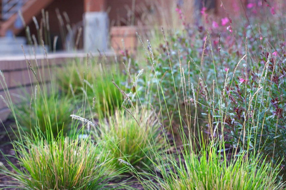 Wilkes Residence by All Seasons Gardening And Landscaping - Photo 6