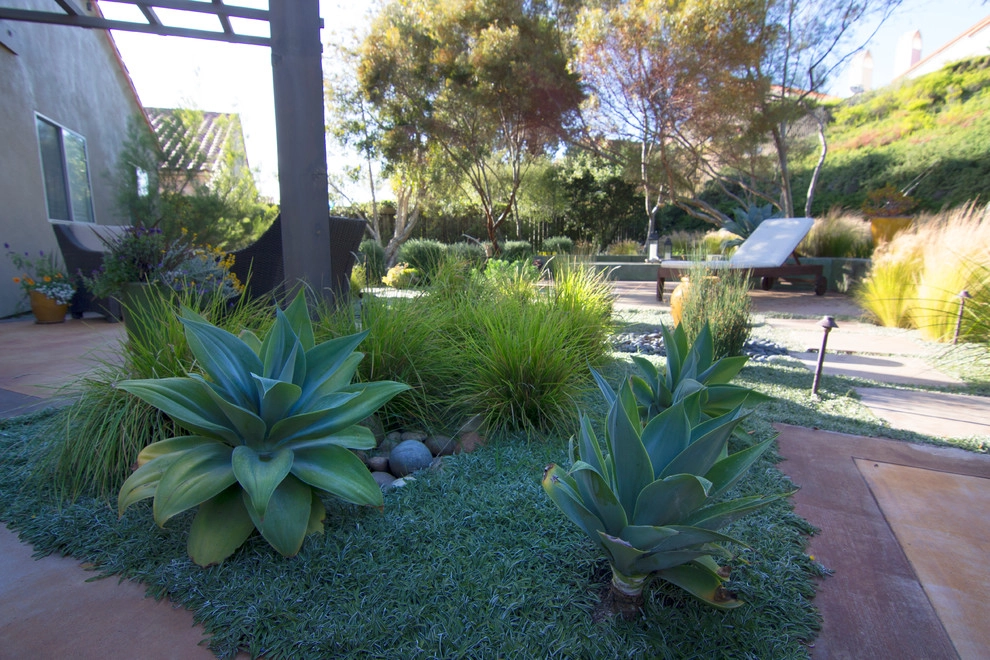 Horton Residence by All Seasons Gardening And Landscaping - Photo 13