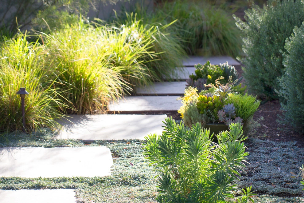 Horton Residence by All Seasons Gardening And Landscaping - Photo 30