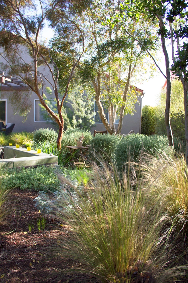 Horton Residence by All Seasons Gardening And Landscaping - Photo 19