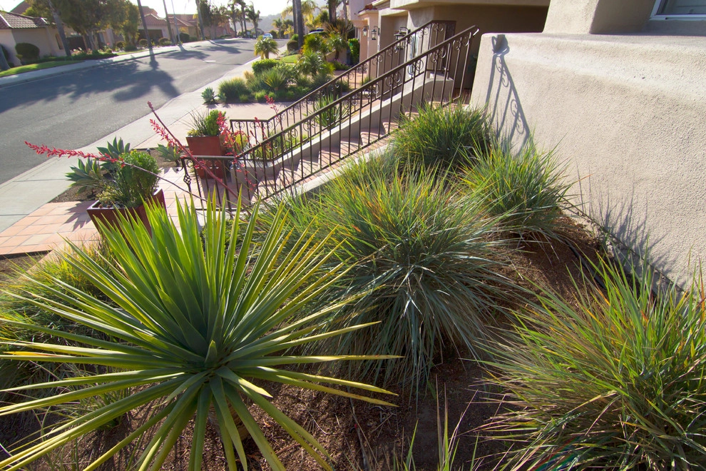 Horton Residence by All Seasons Gardening And Landscaping - Photo 7
