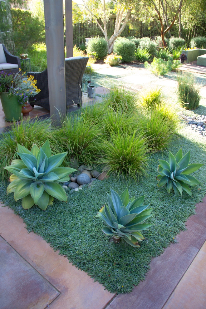 Horton Residence by All Seasons Gardening And Landscaping - Photo 21