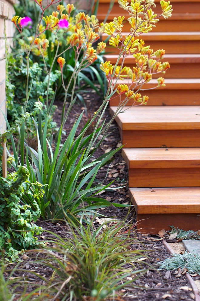 Wilkes Residence by All Seasons Gardening And Landscaping - Photo 9