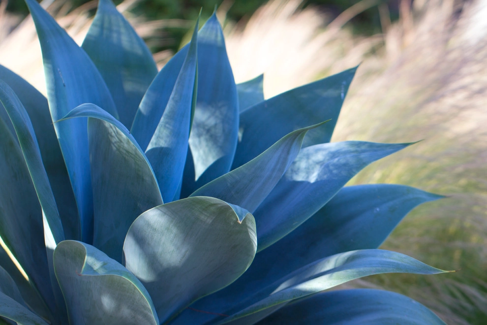 Horton Residence by All Seasons Gardening And Landscaping - Photo 39