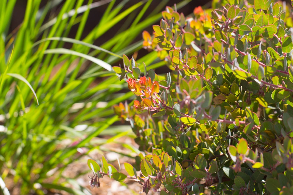 Decker Residence by All Seasons Gardening And Landscaping - Photo 37